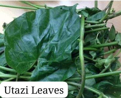 UTAZI LEAF fresh