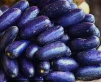 FRESH UBE