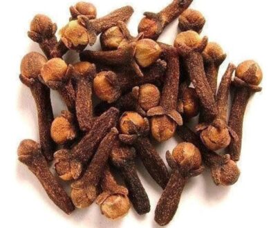 CLOVE