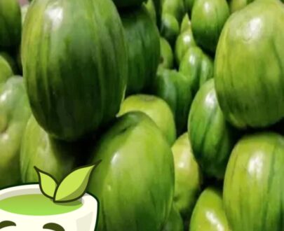 FRESH GARDEN EGG GREEN